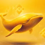$11.2b BNB whale who controls the market 1 11.2b BNB whale who controls the market