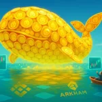 Binance Whale