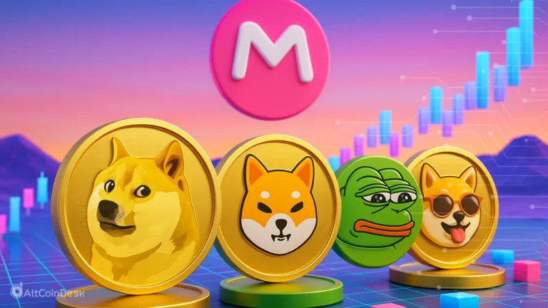 lineup including Dogecoin (DOGE), Shiba Inu (SHIB), and Pepe coins against a rising market chart to explain what are memecoins?