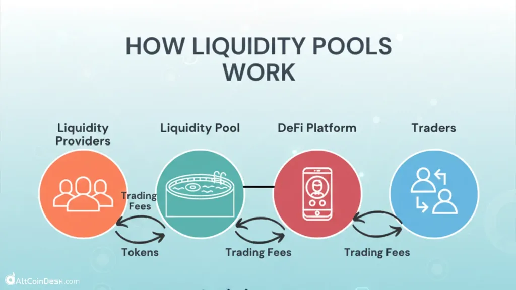 How to check liquidity data before buying altcoins 1 how liquidity pool 1