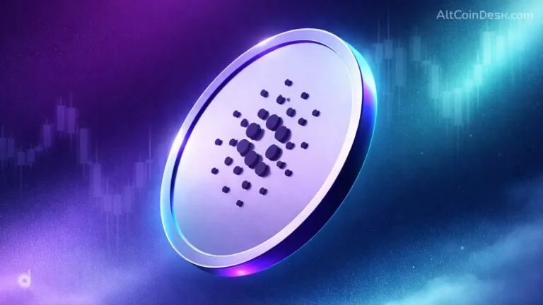 cardano sees developer spike