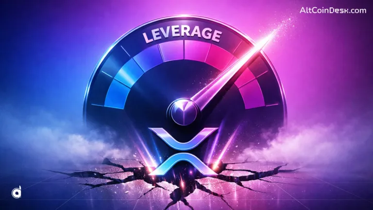 XRP leverage