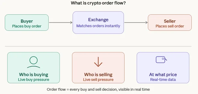 What is order flow in crypto trading? The beginner's guide to reading the market like a pro 1 Crypto order flow buyer seller exchange