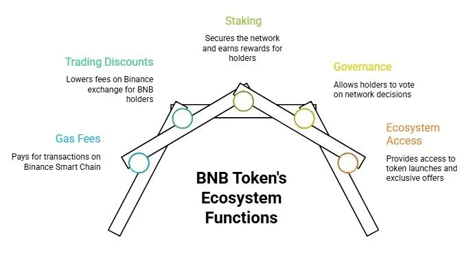 What is BNB Chain: BSC, wallets, gas fees, and how it all works 2 BNB token ecosystem functions