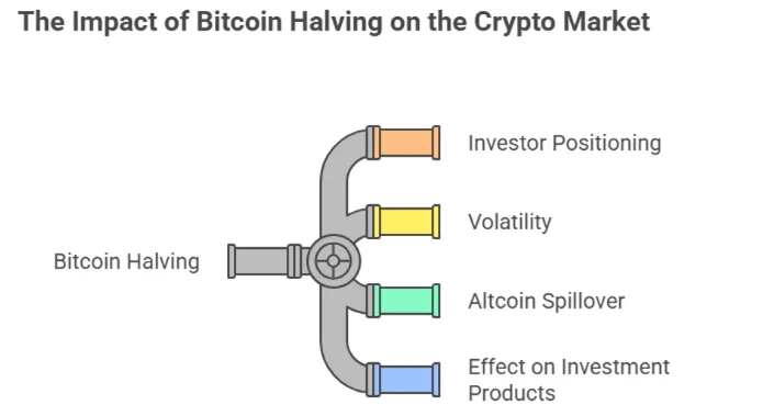 What is a crypto halving event and why does it matter? 2 image 85