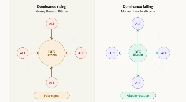 Crypto market indicators: 5 most misread signals in crypto trading 1 crypto market indicators Bitcoin dominance