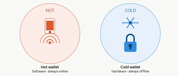 Hardware vs software wallet: Which one is right for you in 2026? 1 Hardware vs software wallet difference
