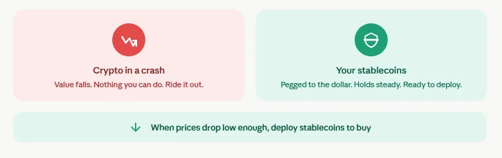 What happens to your crypto during a market crash? Beginner survival tips 3 Stablecoins as dry powder safety net