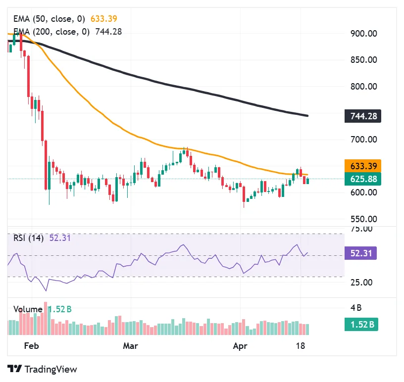 BNB coin loses its macro uptrend; could there be a historic recovery? 1 image 232