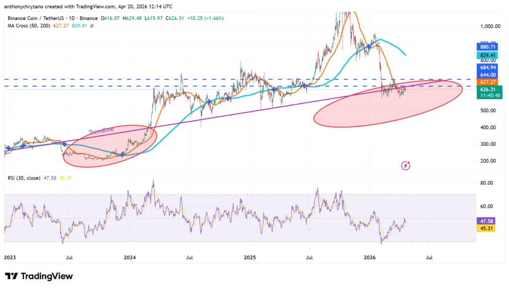 BNB coin loses its macro uptrend; could there be a historic recovery? 3 image 234