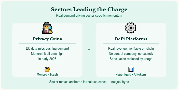Crypto bull run 2026: 8 signs the next big rally is building right now 2 Privacy coins DeFi leading sectors