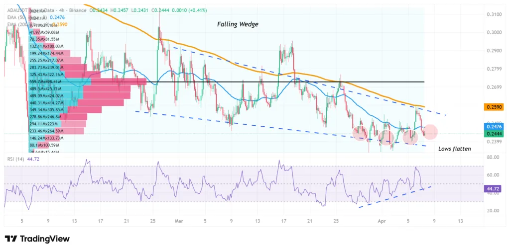 Cardano whales with 10 million ADA are increasing - What does it mean? 1 ADA prices
