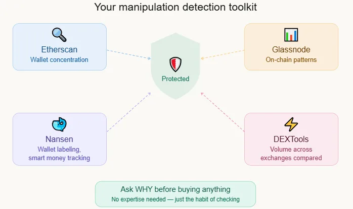 What is crypto market manipulation and how to detect it before losing money 3 Crypto manipulation detection tools